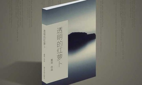 芯丝翠果酸的使用流程、芯丝翠果酸的使用流程 -芯丝翠果酸乳 aha pha区别网