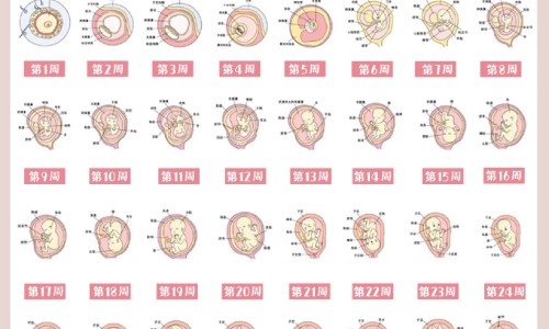 芯丝翠果酸的使用流程、芯丝翠果酸的使用流程 -芯丝翠果酸乳 aha pha区别网