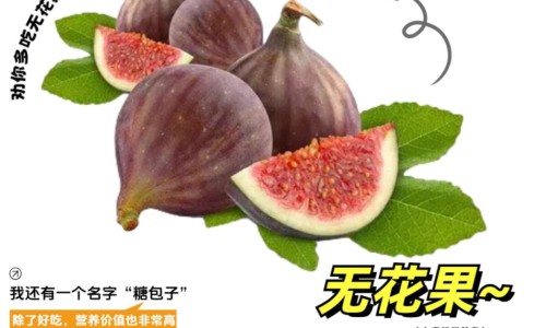 芯丝翠果酸刷后图-芯丝翠果酸的使用流程、芯丝翠果酸的使用流程 -芯丝翠果酸乳 aha pha区别网